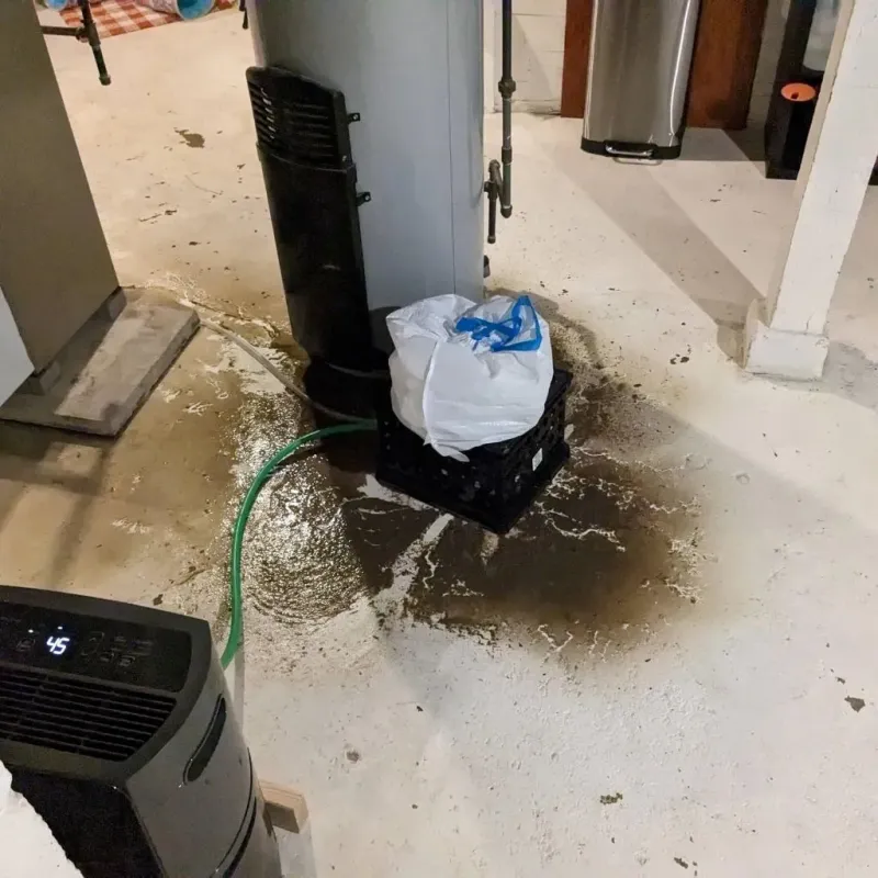 Sewage Backup Cleanup Service in Chattahoochee Hills, GA